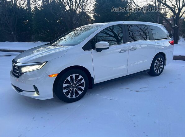 5FNRL6H71NB023976 2022 HONDA ODYSSEY Белый 