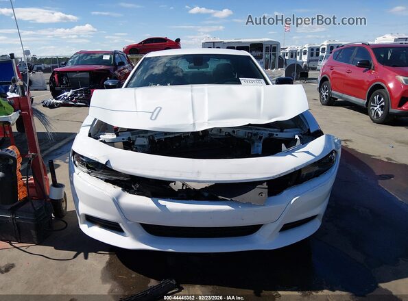 2C3CDXBG1PH666363 2023 DODGE CHARGER White Widok z przodu