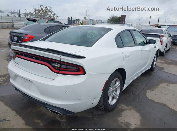 2C3CDXBG6KH695480 2019 DODGE CHARGER White Հետևի աջ