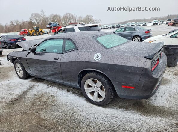 2C3CDZAG1PH553459 2023 DODGE CHALLENGER Gray Հետևի ձախ
