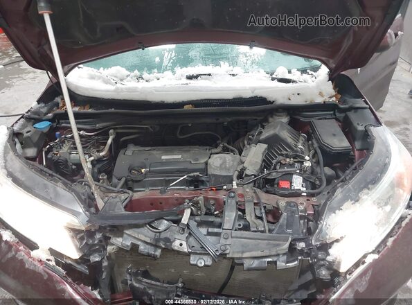 2HKRM4H55GH604580 2016 HONDA CR-V Burgundy უკანა ხედი
