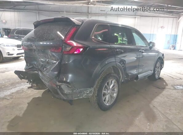2HKRS4H72SH449308 2025 HONDA CR-V Gray უკანა მარჯვენა