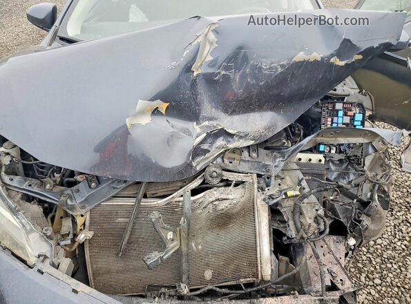 2T1BURHE5HC928681 2017 TOYOTA LL Blue Rear interior view