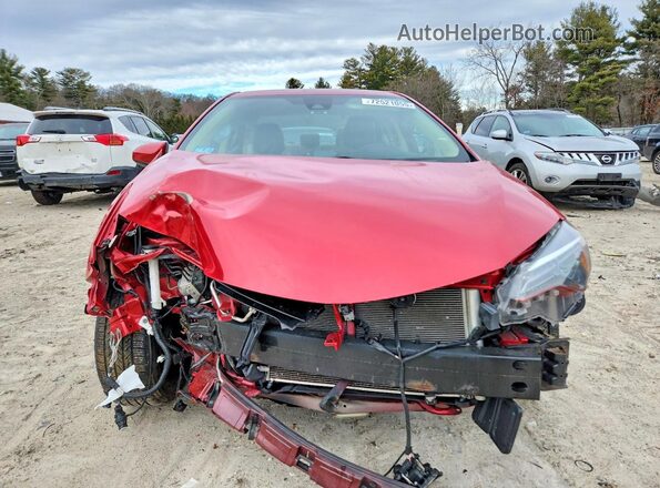 2T1BURHE8KC184081 2019 TOYOTA LL Red 