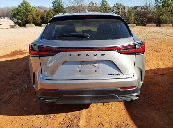 2T2ADCAZ0SC024472 2025 LEXUS NX Silver Հետևի տեսք