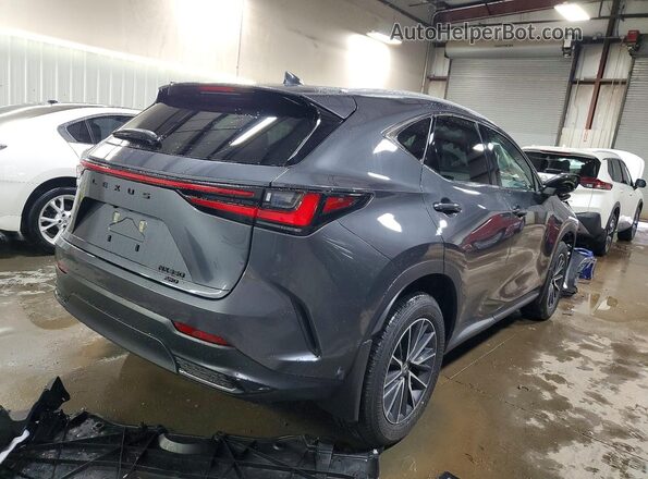 2T2AGCEZ1TC110523 2026 LEXUS NX Gray Задня права чверть