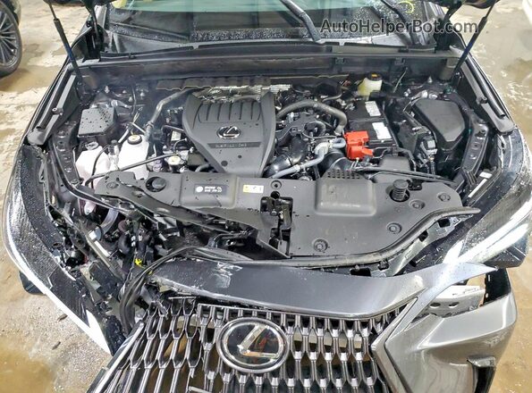 2T2AGCEZ1TC110523 2026 LEXUS NX Gray Вид задньої частини салону