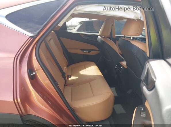2T2AGCEZ2TC101135 2026 LEXUS NX Brown VIN კოდის სტიკერის ხედი