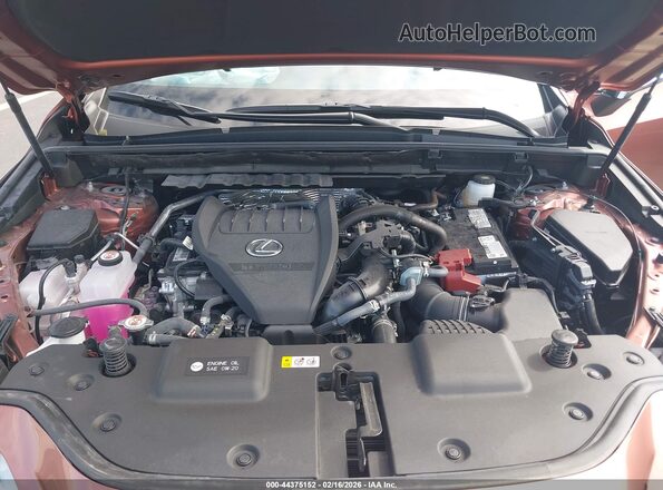2T2AGCEZ2TC101135 2026 LEXUS NX Brown უკანა ხედი