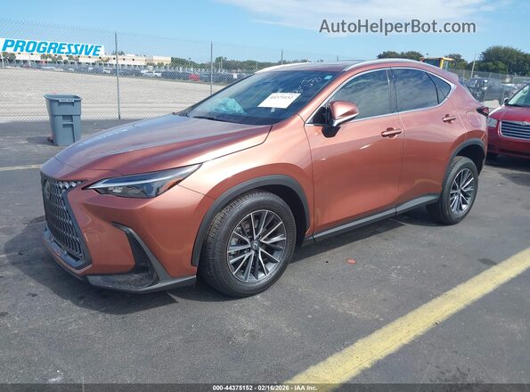 2T2AGCEZ2TC101135 2026 LEXUS NX Brown წინა მარცხენა ხედი სამი მეოთხედიდან