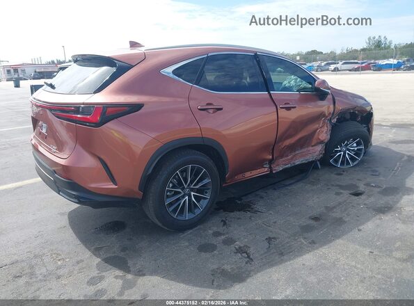 2T2AGCEZ2TC101135 2026 LEXUS NX Brown უკანა მარჯვენა