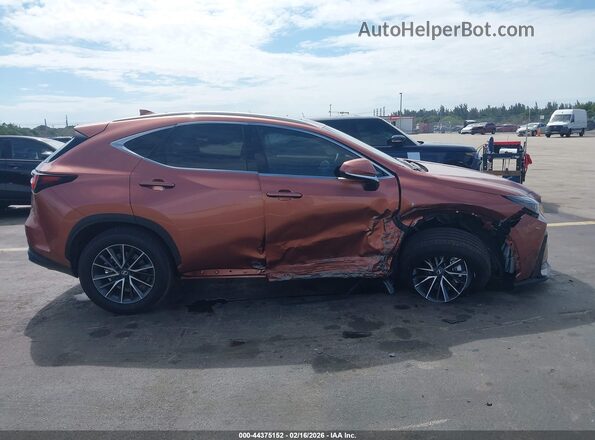 2T2AGCEZ2TC101135 2026 LEXUS NX Brown უკანა სალონის ხედი