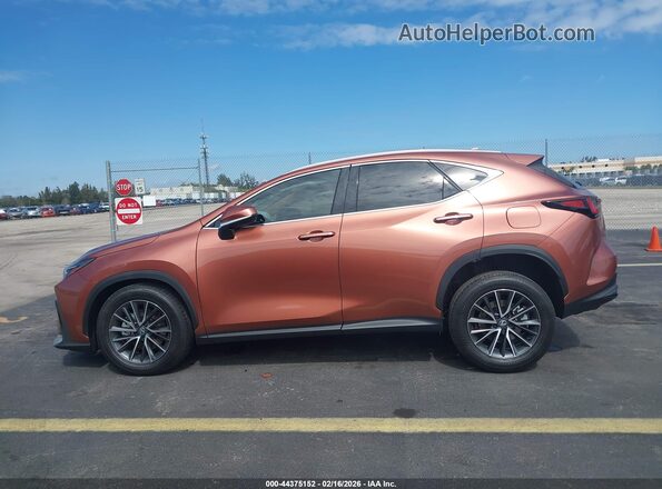 2T2AGCEZ2TC101135 2026 LEXUS NX Brown სალონის 360-გრადუსიანი ხედი