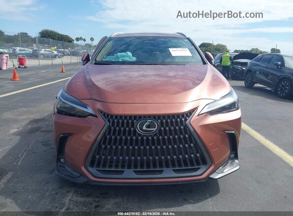 2T2AGCEZ2TC101135 2026 LEXUS NX Brown ხელსაწყოთა პანელის ხედი
