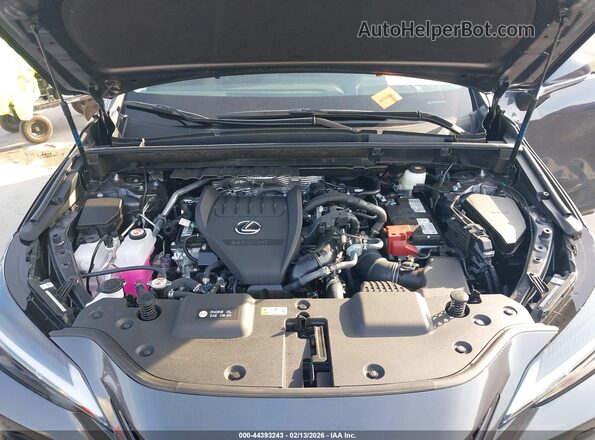 2T2AGCEZ2TC105590 2026 LEXUS NX Gray Вид ззаду