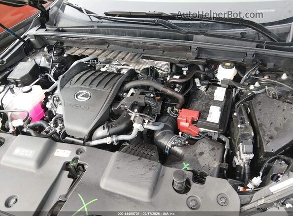 2T2AGCEZ7SC074206 2025 LEXUS NX 350 Black Rear view