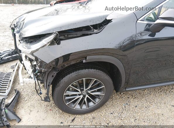 2T2AGCEZ7SC074206 2025 LEXUS NX 350 Black 