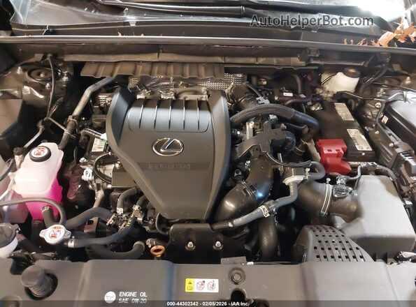 2T2AGCEZXSC082154 2025 LEXUS NX 350 Черный Вид сзади