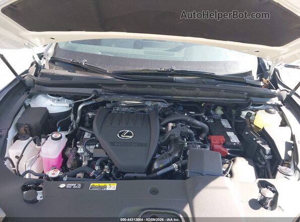 2T2BAMBA3TC070987 2026 LEXUS RX 350 White Widok z tyłu