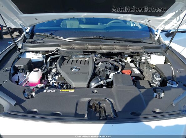 2T2BAMBA5TC071378 2026 LEXUS RX 350 White Հետևի տեսք