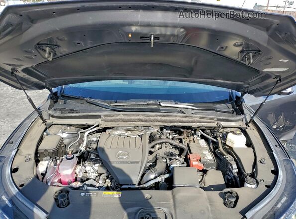 2T2BAMBA9RC041020 2024 LEXUS RX Gray უკანა სალონის ხედი