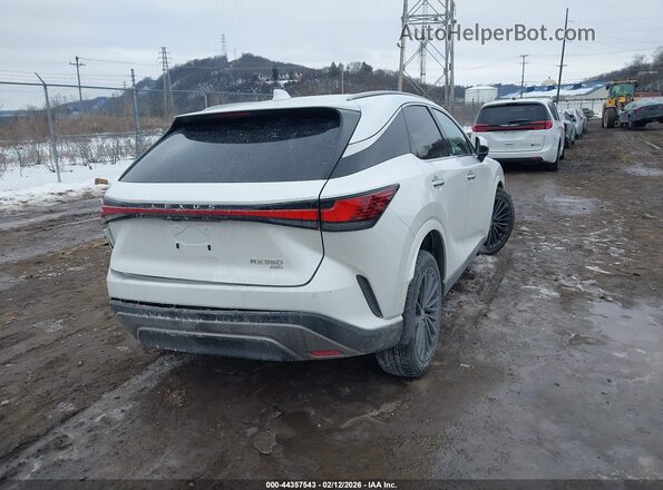 2T2BAMCA0SC104283 2025 LEXUS RX 350 Белый Задняя правая четверть