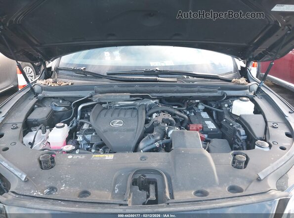 2T2BAMCA1RC072356 2024 LEXUS RX 350 Black Вид ззаду