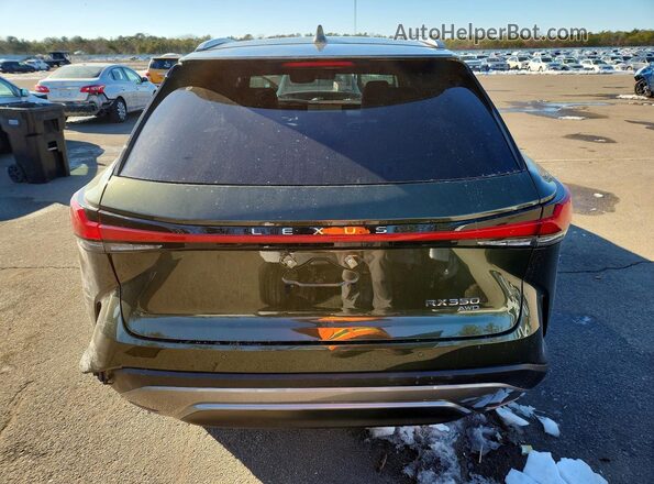 2T2BAMCA2TC131664 2026 LEXUS RX Green Vista trasera