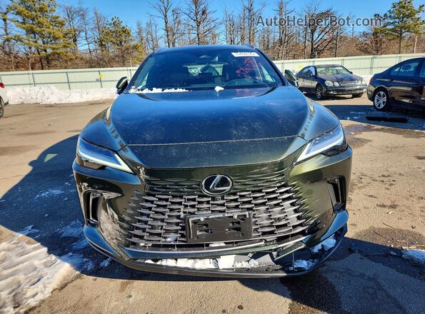 2T2BAMCA2TC131664 2026 LEXUS RX Green Vista frontal