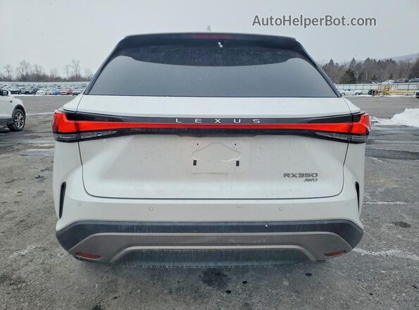 2T2BAMCA3PC016934 2023 LEXUS RX White Rear view