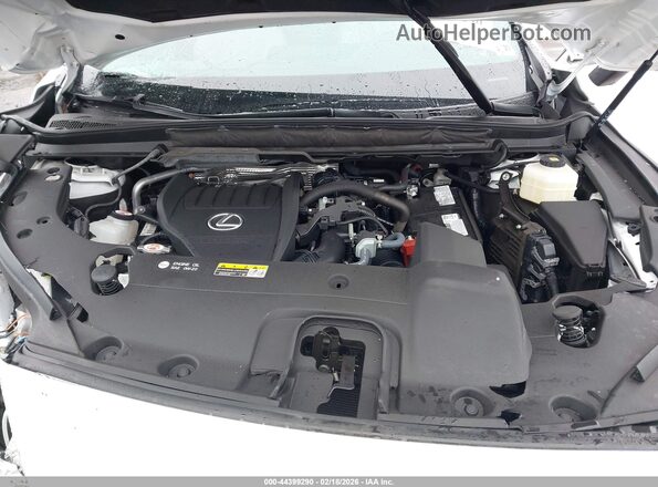 2T2BAMCA3RC054067 2024 LEXUS RX 350 White Հետևի տեսք