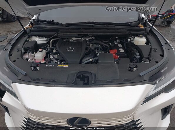 2T2BAMCA4RC069502 2024 LEXUS RX 350 White უკანა ხედი