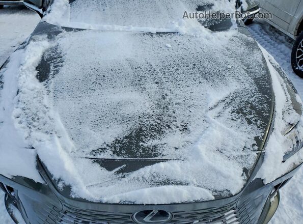 2T2BAMCA9SC112561 2025 LEXUS RX Green უკანა სალონის ხედი