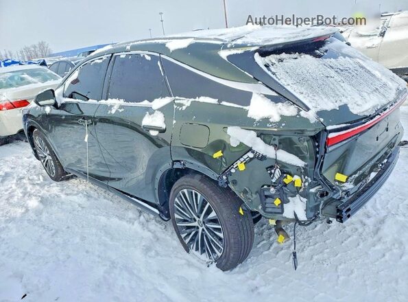 2T2BAMCA9SC112561 2025 LEXUS RX Green უკანა მარცხენა