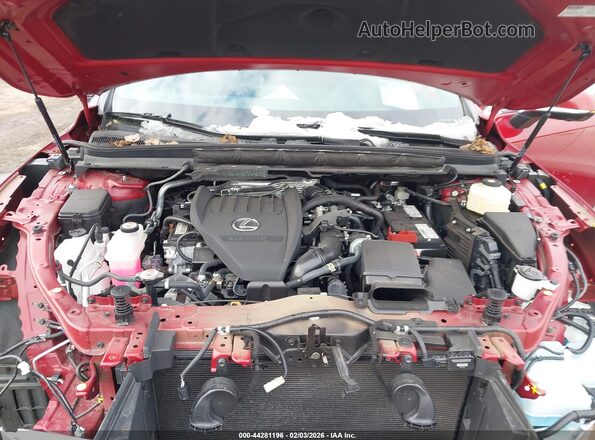 2T2BAMCAXRC040389 2024 LEXUS RX 350 Красный Вид сзади