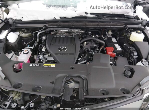 2T2BAMCAXTC129208 2026 LEXUS RX 350 Green უკანა ხედი