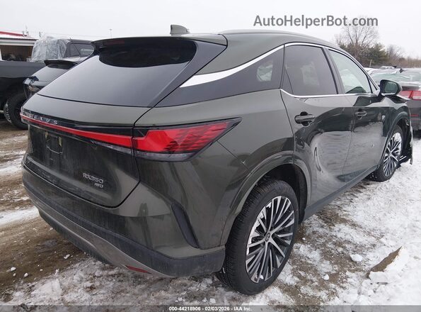 2T2BAMCAXTC129208 2026 LEXUS RX 350 Green უკანა მარჯვენა
