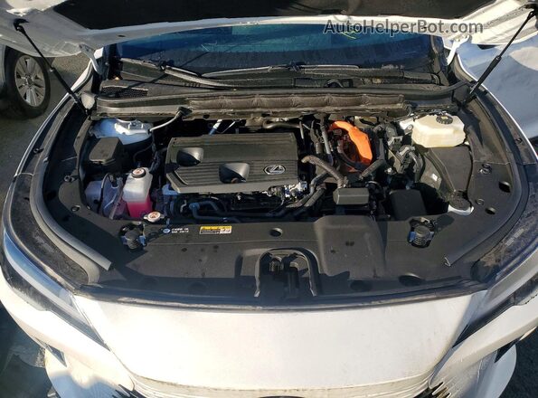 2T2BBMCA1RC029309 2024 LEXUS RX White 