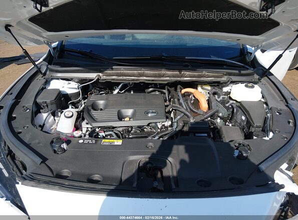 2T2BBMCA3RC053840 2024 LEXUS RX 350H Белый Вид сзади