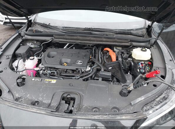 2T2BBMCA6SC089009 2025 LEXUS RX 350H Black Rear view