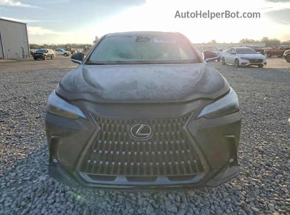 2T2GDCAZ0SC027754 2025 LEXUS NX Black წინა ხედი