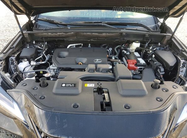 2T2GDCAZ0SC027754 2025 LEXUS NX Black უკანა სალონის ხედი