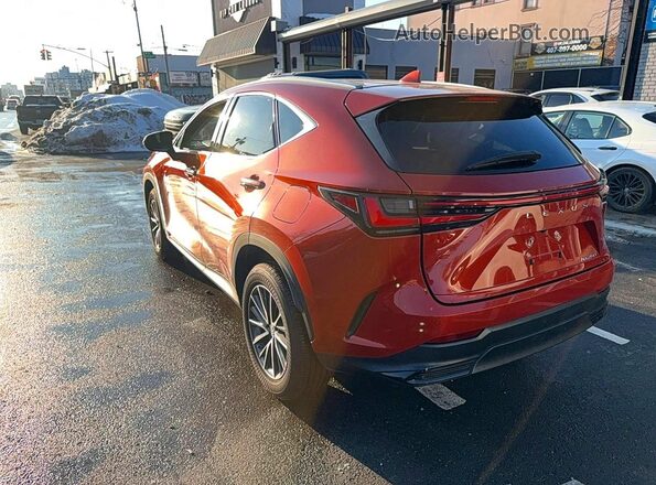 2T2GDCAZ1PC003051 2023 LEXUS NX Orange 