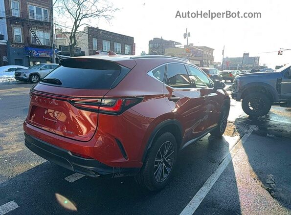 2T2GDCAZ1PC003051 2023 LEXUS NX Orange 