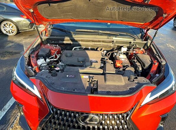2T2GDCAZ1PC003051 2023 LEXUS NX Orange 