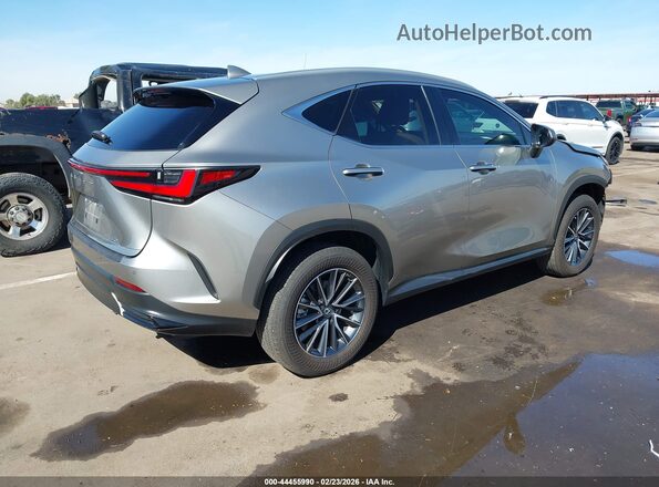 2T2GDCAZ1SC020621 2025 LEXUS NX 250 Gray Trasero derecho