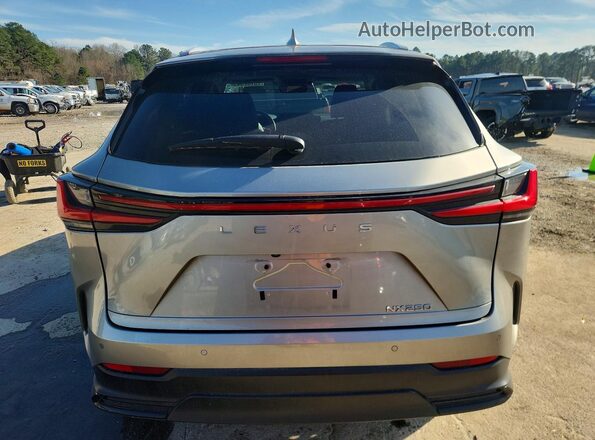 2T2GDCAZ4RC011177 2024 LEXUS NX Tan Rear view