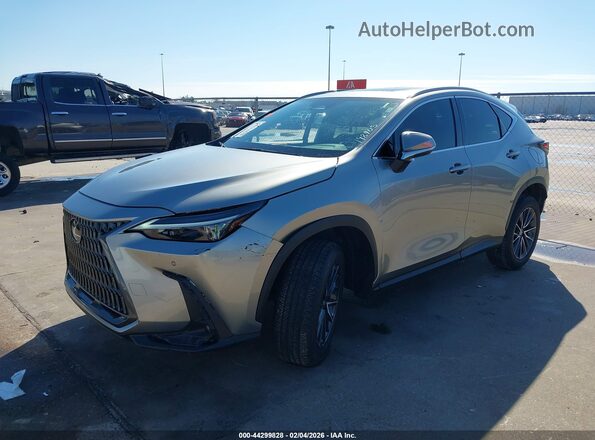 2T2GDCAZ5RC014718 2024 LEXUS NX 250 Gray Vista tres cuartos delantera izquierda