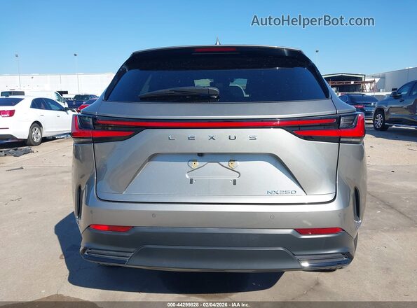2T2GDCAZ5RC014718 2024 LEXUS NX 250 Gray 