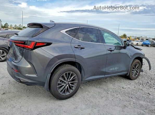 2T2GDCAZ6RC007308 2024 LEXUS NX Gray Հետևի աջ